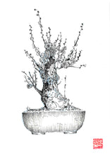 Load image into Gallery viewer, The Noble Series - Plum Blossom