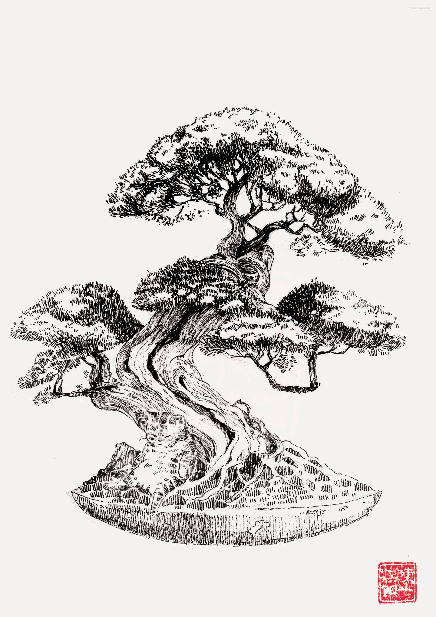 Bonsai - Harmony and Peace