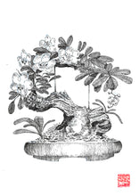 Load image into Gallery viewer, The Noble Series - Orchid
